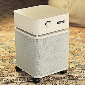 17. Best Austin Air Purifier